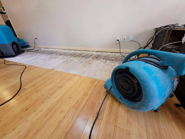 Professional Water Removal technician working in Tower City, PA